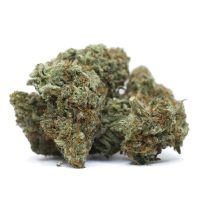 bubba-kings-lavender-1.jpg