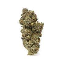 el-jefe-canada-online-dispensary-buy-weed1.jpg