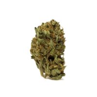 trs-popcorn-medium-size-buds.jpg