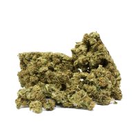 trs-popcorn-medium-size-buds-pile-1.jpg