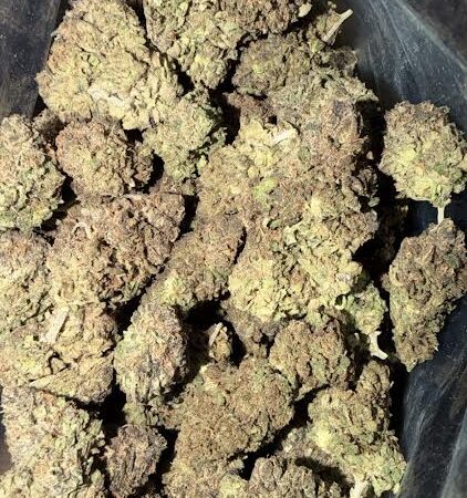 White Poison