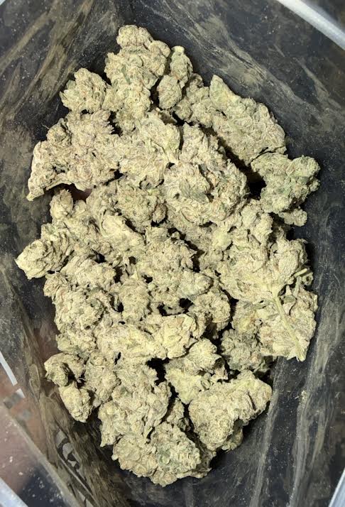 Forbidden Fruit