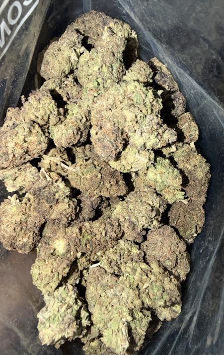 G13