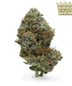 Bubba Kings - Mike Tyson