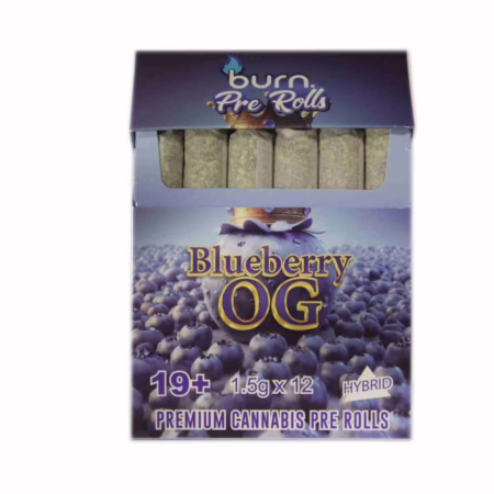 Burn Pre Roll 12 Pack - Blueberry OG