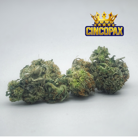 Cincopax El Muerte Smalls