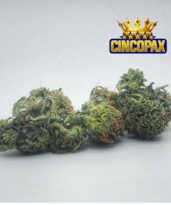 Cincopax El Muerte Smalls