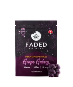 Faded Edibles - Grape Galaxy 480mg