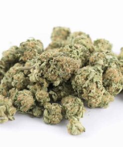 Frosted Donut Smalls