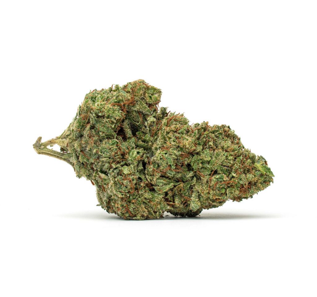 Liliac-Diesel_Full-Res-2-1