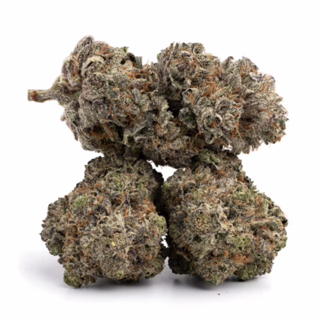 Bubba Kings - Paralyze Pink