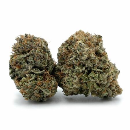 Purple Panty Dropper