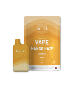 Boost Disposable Pen 3g - Mango Haze