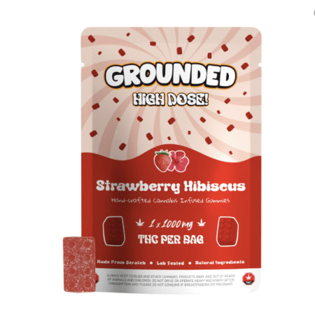 Grounded High Dose Bricks - Strawberry Hibiscus 1000mg