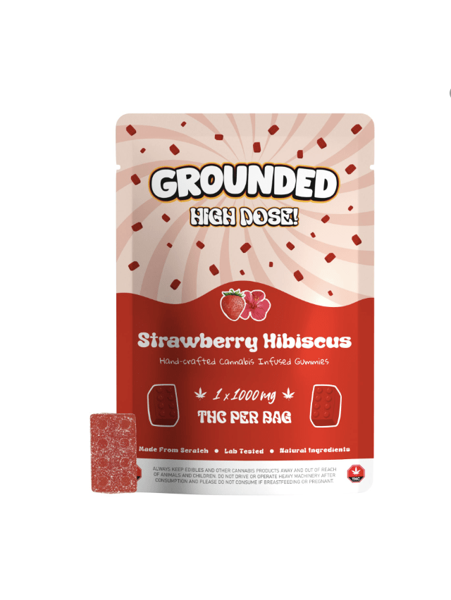 Grounded High Dose Bricks - Strawberry Hibiscus 1000mg