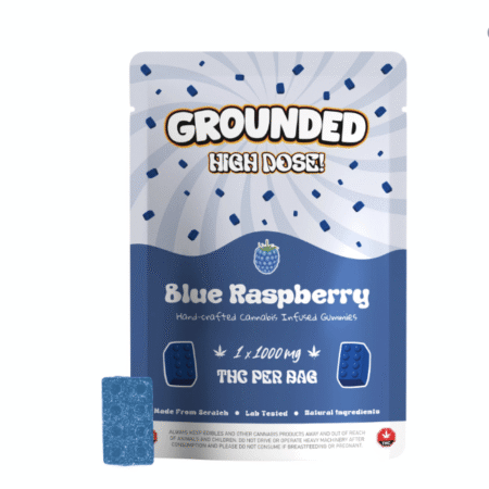 Grounded High Dose Bricks - Blue Raspberry 1000mg