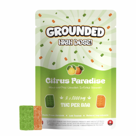 Grounded High Dose Bricks - Citrus Paradise 2000mg