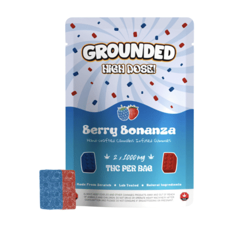 Grounded High Dose Bricks - Berry Bonanza 2000mg