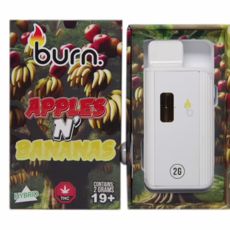 Burn Disposable Pen 2g - Apples N' Banana