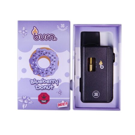 Burn Disposable Pen 3g - Blueberry Donut