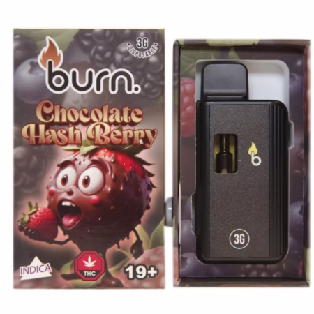 Burn Disposable Pen 3g - Chocolate Hash Berry