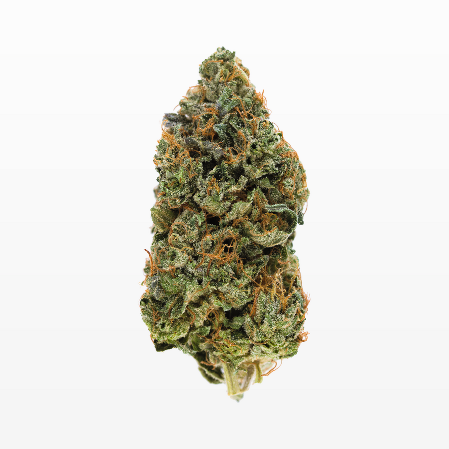 Cincopax Double Death Bubba