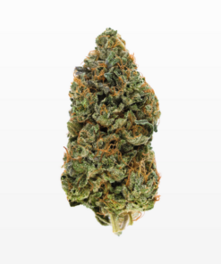 Cincopax Double Death Bubba