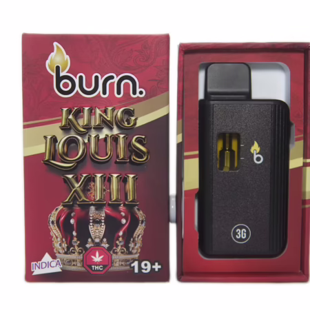 Burn Disposable Pen 3g - King Louis XIII