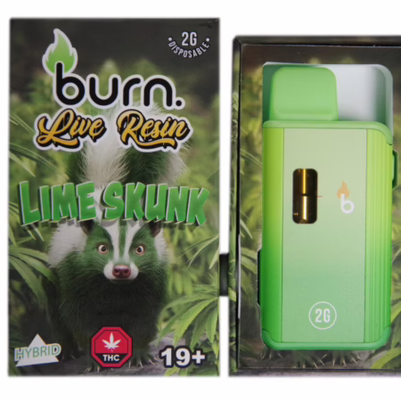 Burn Disposable Pen 2g (Live Resin) - Lime Skunk