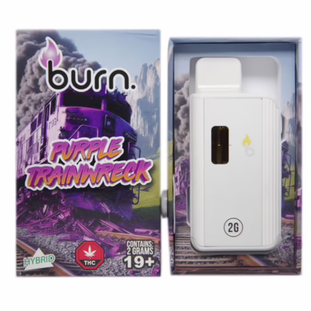 Burn Disposable Pen 2g - Purple Trainwreck