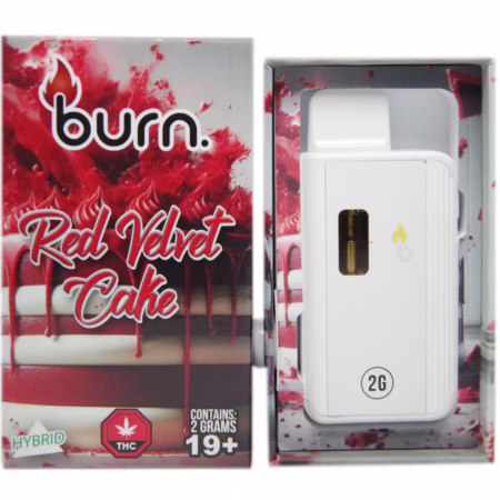 Burn Disposable Pen 2g - Red Velvet Cake
