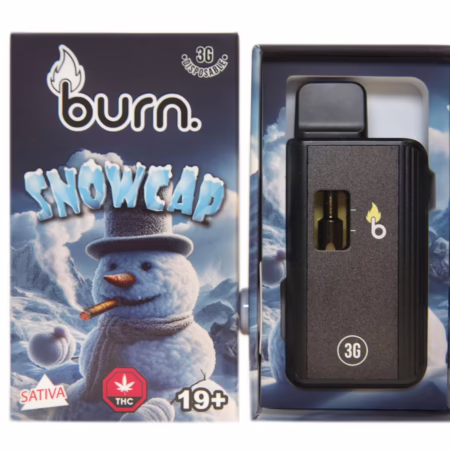 Burn Disposable Pen 3g - Snowcap