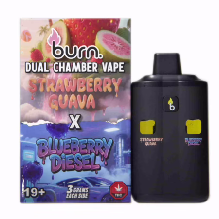 Burn Dual Chamber Pen 6g - Strawberry Guava (H) + Blueberry Diesel (H)
