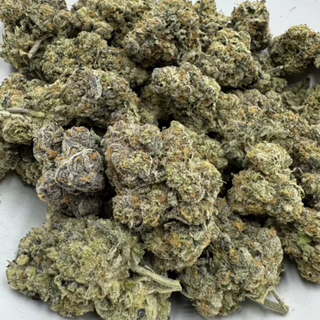 Exotic - Bahama Mama LSO