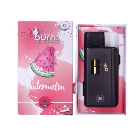 Burn Disposable Pen 3g - Watermelon